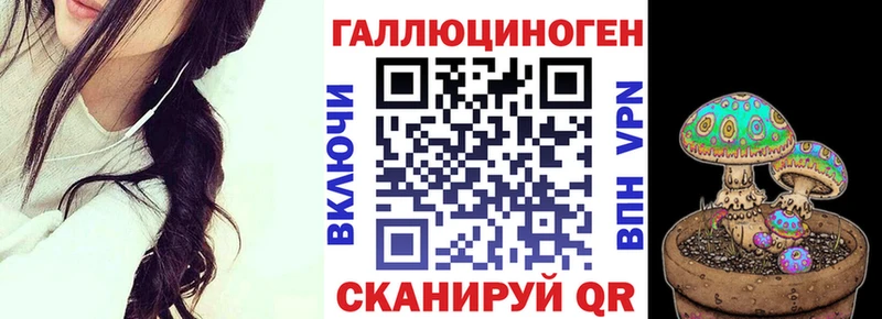 hydra как войти  Хасавюрт  Псилоцибиновые грибы Psilocybe  как найти  