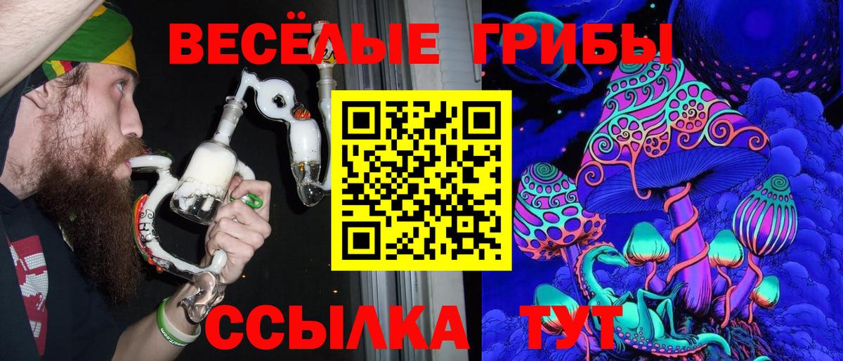 Псилоцибиновые грибы MAGIC MUSHROOMS Хасавюрт