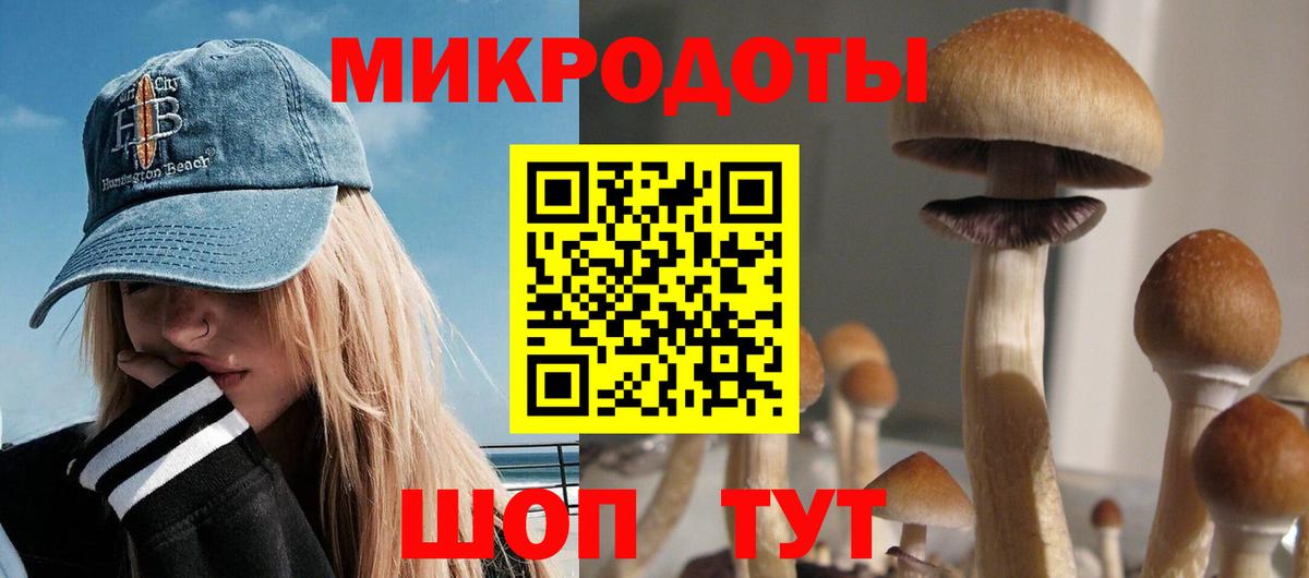 Хасавюрт  Псилоцибиновые грибы мухоморы  купить закладку  Вход с VPN 